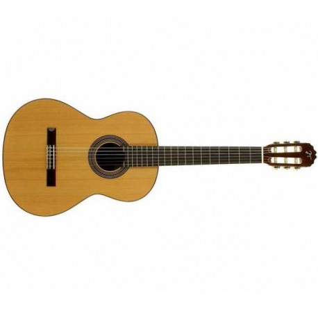 Josè Torres JTC20