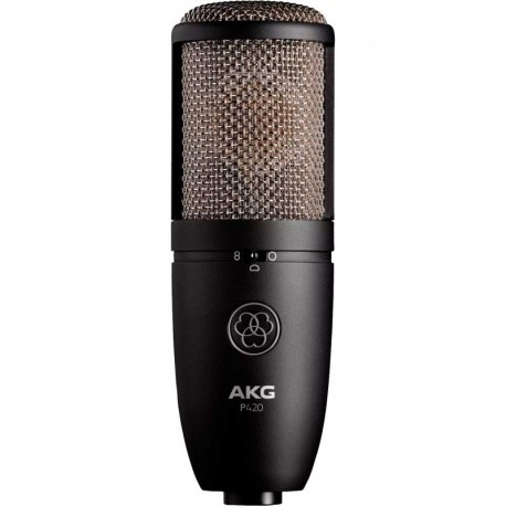 AKG P420