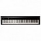 Orla PF100BK