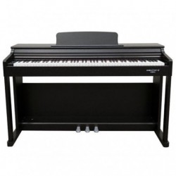 Echord DPX100B Nero Lucido