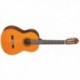 Yamaha CGX102A
