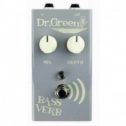 Ashdown Dr Green bass verb