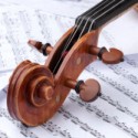Violini