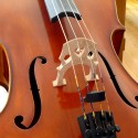 Violoncelli